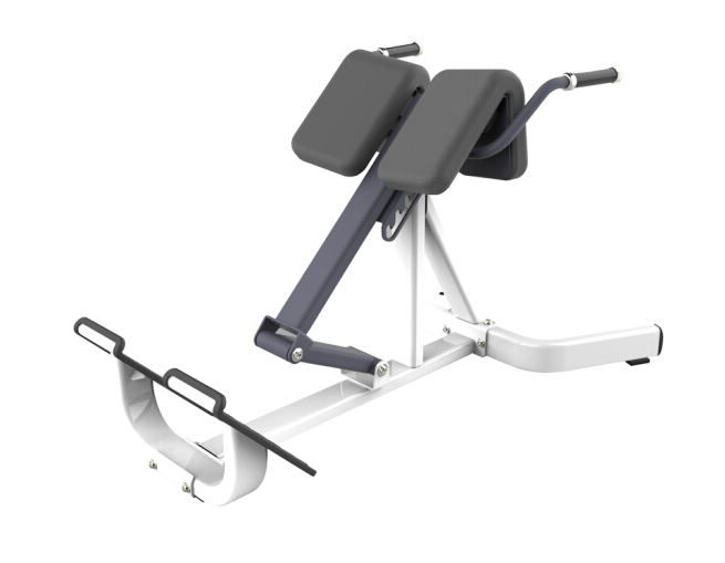 商用健身房专用器械力量器械专项器械无氧健身器械 BK1046 罗马椅