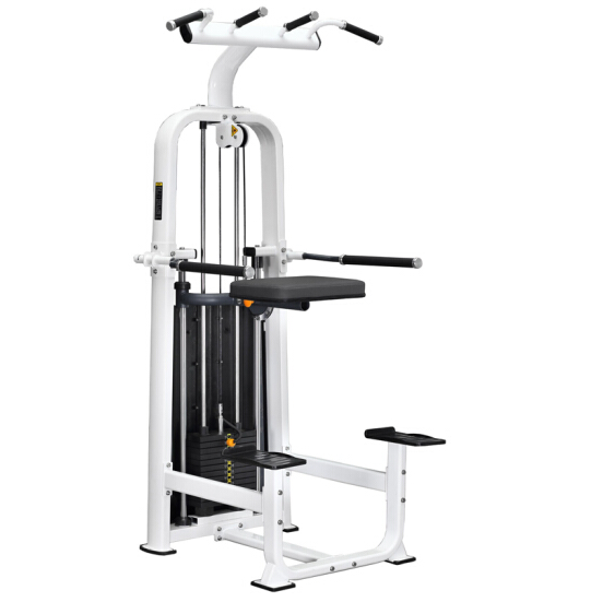 商用健身房专用器械力量器械专项器械无氧健身器械 BK1019单双杠及提腿腹肌复合训练器
