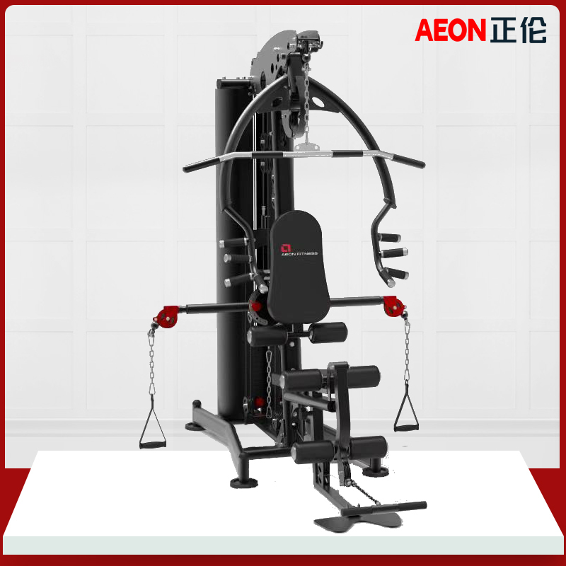 AEON正伦CL-601轻商用高低拉踢腿推胸多功能力量综合训练器