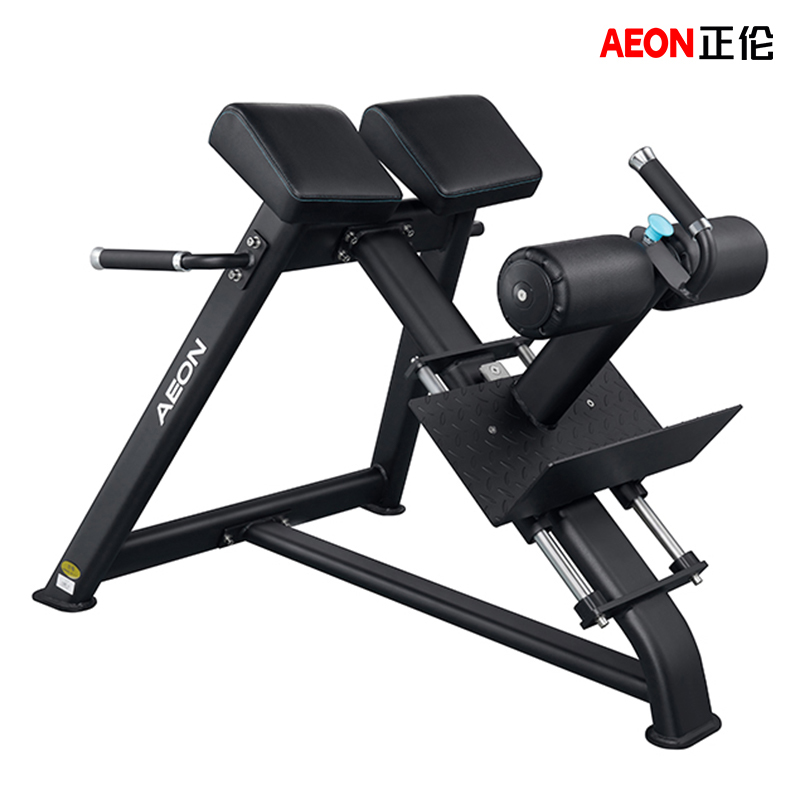 AEON正伦CS-833可调罗马椅 背部肌肉力量训练器